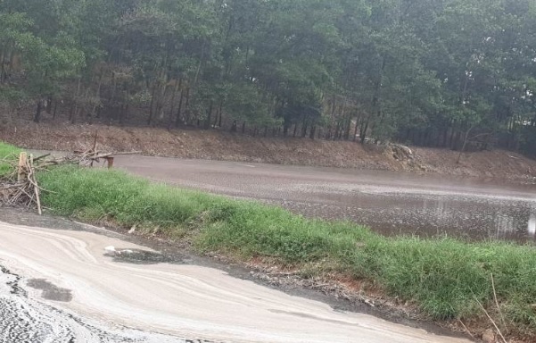 Thông tin từ đường dây nóng